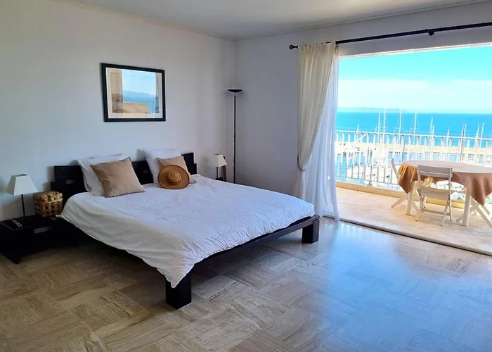 Grand Climatise Avec Terrasses, Vue Mer, Parking Et Wifi - Fr-1-335-173 Hyères